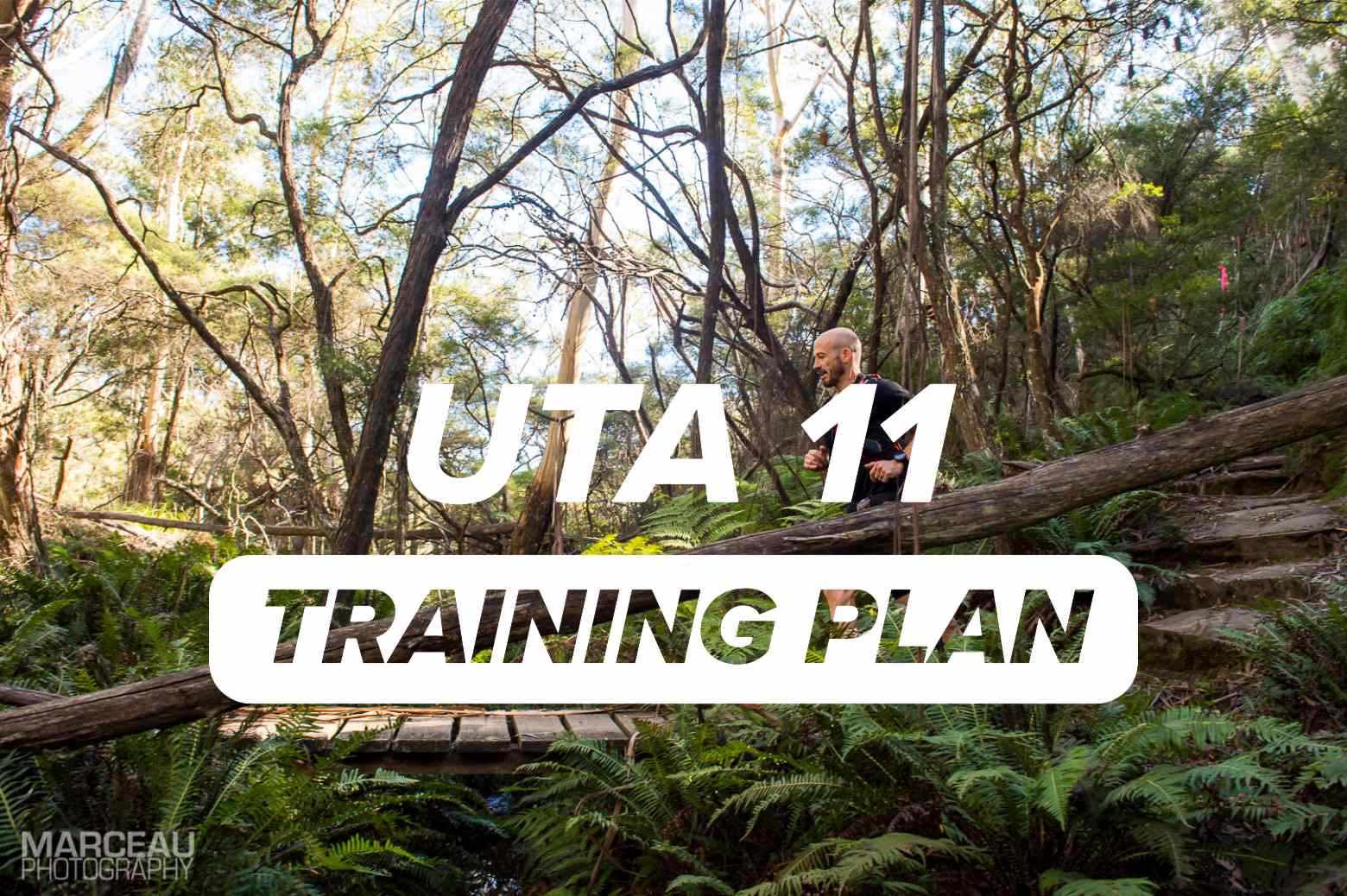 UTA 11 training plan